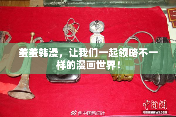 羞羞韩漫，让我们一起领略不一样的漫画世界！