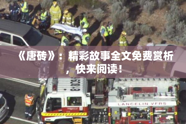 《唐砖》：精彩故事全文免费赏析，快来阅读！