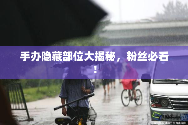 手办隐藏部位大揭秘，粉丝必看！