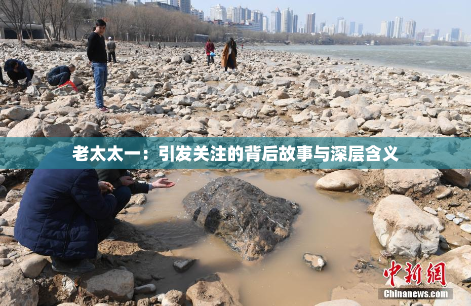 老太太一：引发关注的背后故事与深层含义
