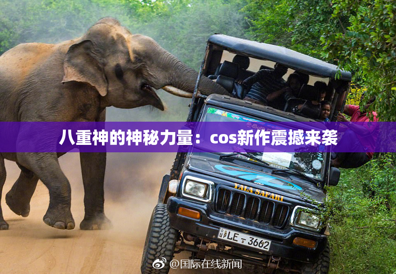八重神的神秘力量：cos新作震撼来袭