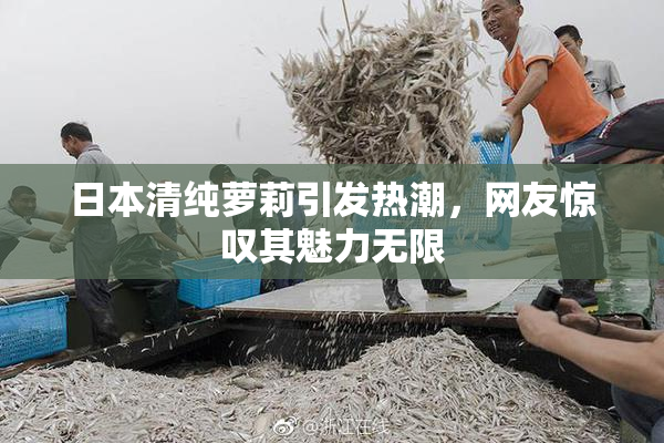日本清纯萝莉引发热潮，网友惊叹其魅力无限