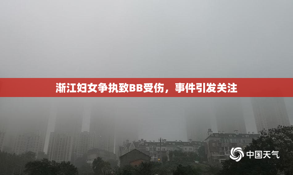 渐江妇女争执致BB受伤，事件引发关注