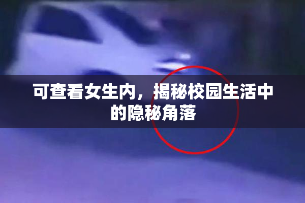 可查看女生内，揭秘校园生活中的隐秘角落