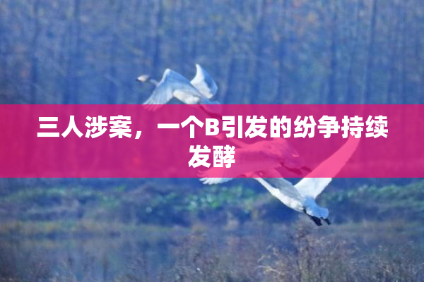 三人涉案，一个B引发的纷争持续发酵