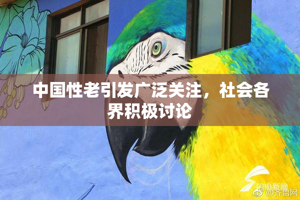 中国性老引发广泛关注，社会各界积极讨论