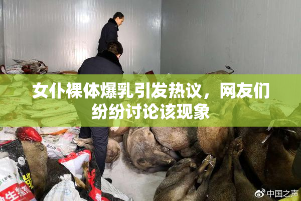 女仆裸体爆乳引发热议，网友们纷纷讨论该现象