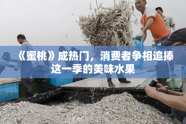《蜜桃》成热门，消费者争相追捧这一季的美味水果