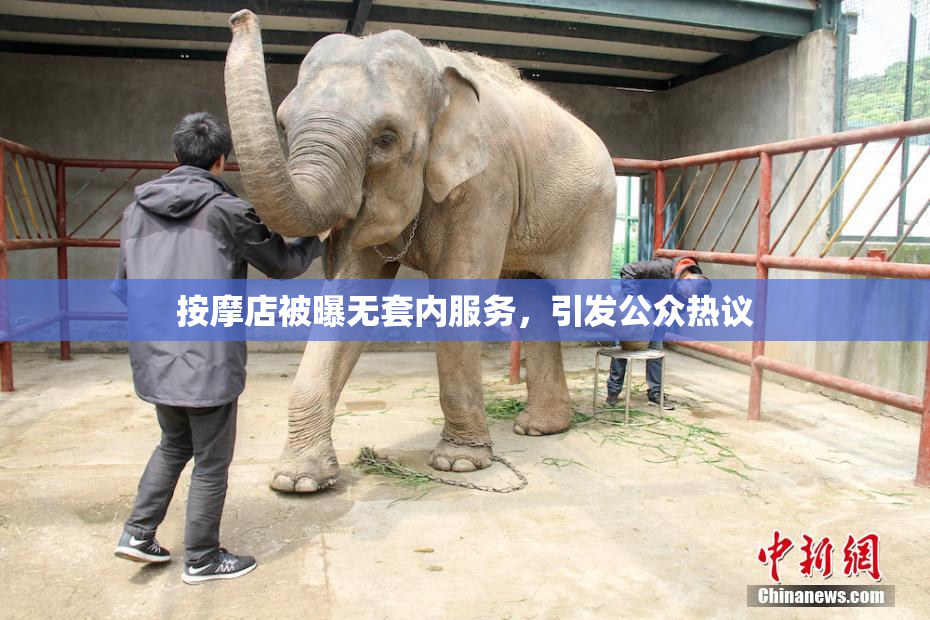 按摩店被曝无套内服务，引发公众热议