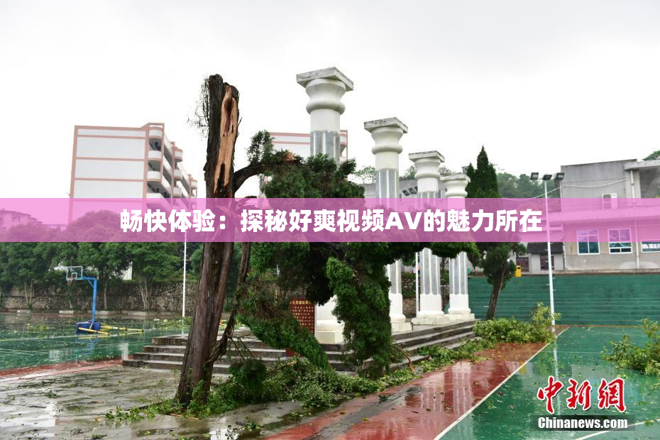 畅快体验：探秘好爽视频AV的魅力所在