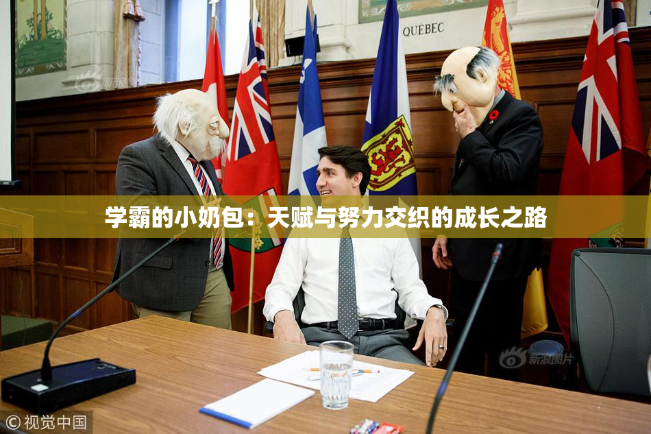 学霸的小奶包：天赋与努力交织的成长之路