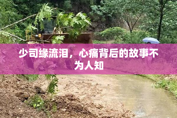 少司缘流泪，心痛背后的故事不为人知