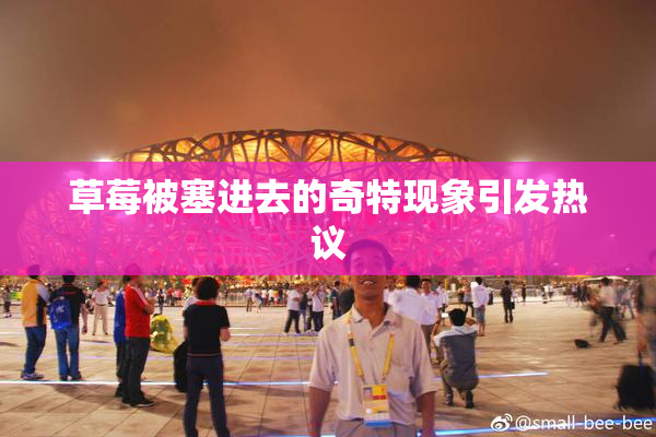 草莓被塞进去的奇特现象引发热议