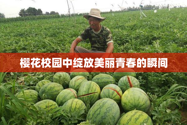 樱花校园中绽放美丽青春的瞬间