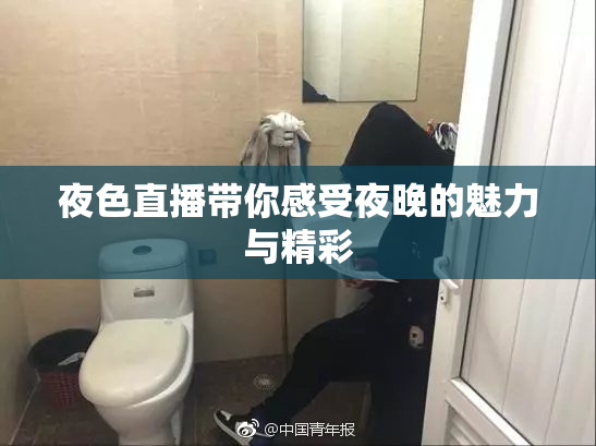 夜色直播带你感受夜晚的魅力与精彩