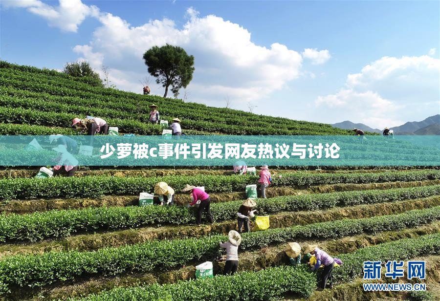 少萝被c事件引发网友热议与讨论