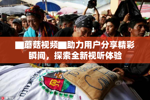▇蘑菇视频▇助力用户分享精彩瞬间，探索全新视听体验
