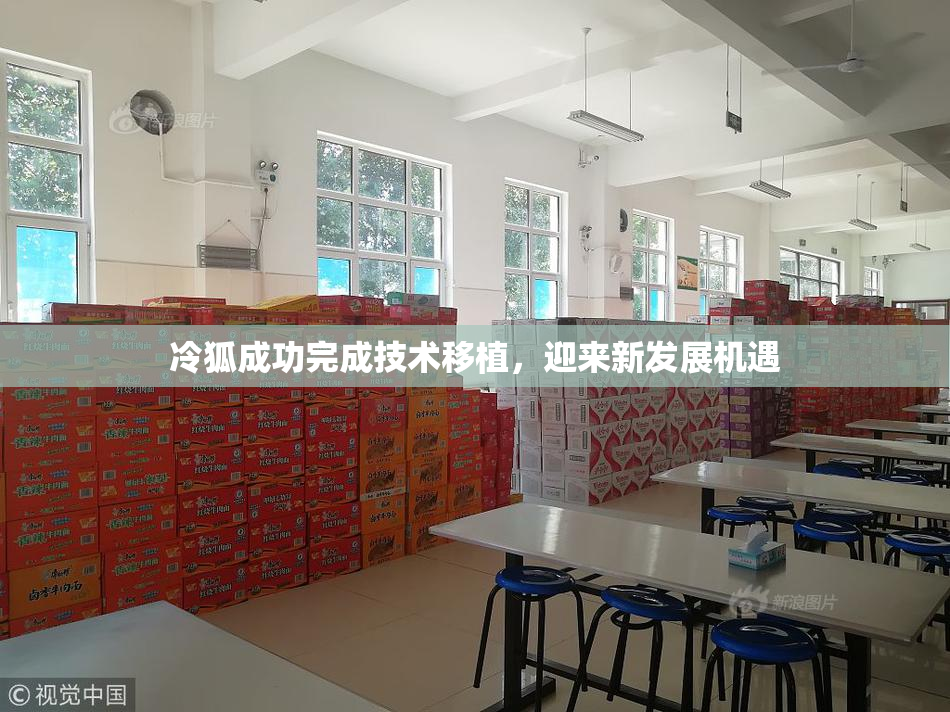 冷狐成功完成技术移植，迎来新发展机遇