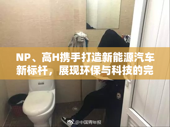 NP、高H携手打造新能源汽车新标杆，展现环保与科技的完美结合。