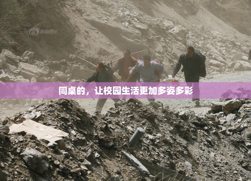 同桌的，让校园生活更加多姿多彩
