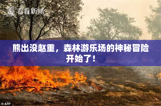 熊出没赵重，森林游乐场的神秘冒险开始了！
