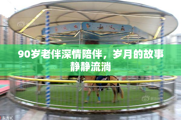 90岁老伴深情陪伴，岁月的故事静静流淌