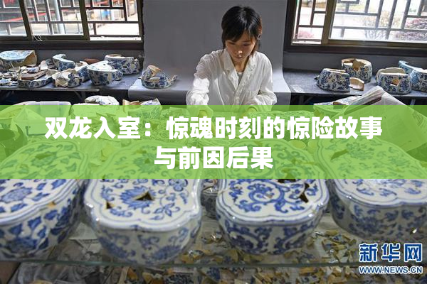 双龙入室：惊魂时刻的惊险故事与前因后果