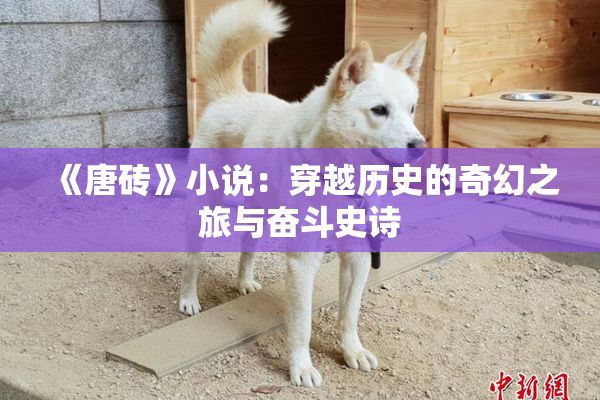 《唐砖》小说：穿越历史的奇幻之旅与奋斗史诗