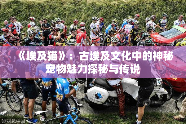 《埃及猫》：古埃及文化中的神秘宠物魅力探秘与传说