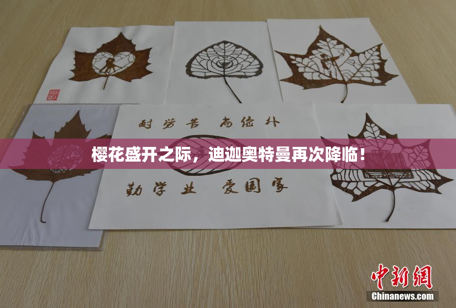 樱花盛开之际，迪迦奥特曼再次降临！