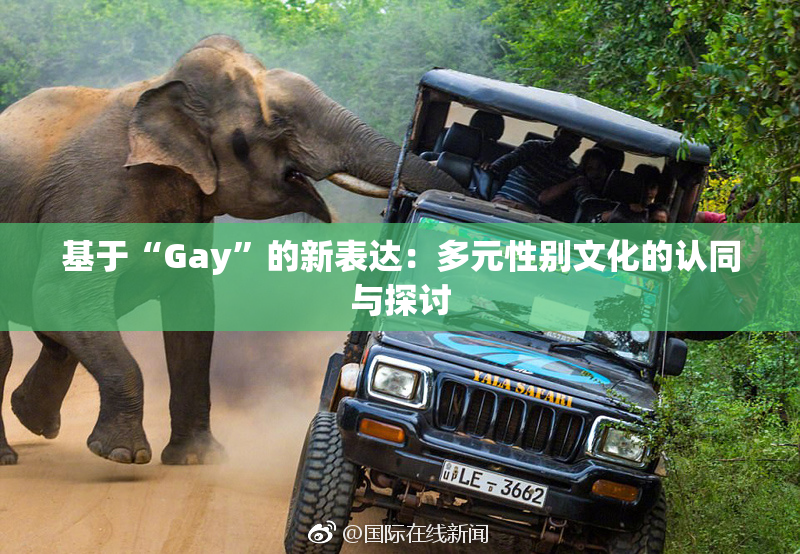 基于“Gay”的新表达：多元性别文化的认同与探讨