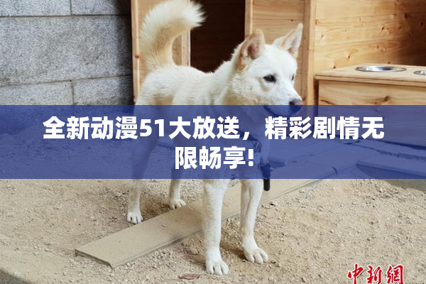 全新动漫51大放送，精彩剧情无限畅享!