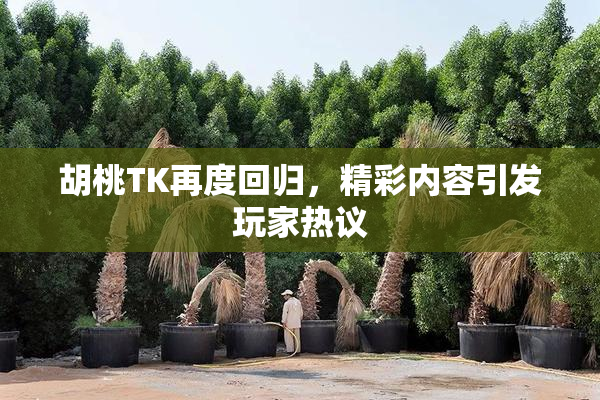 胡桃TK再度回归，精彩内容引发玩家热议