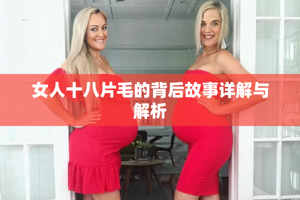 女人十八片毛的背后故事详解与解析