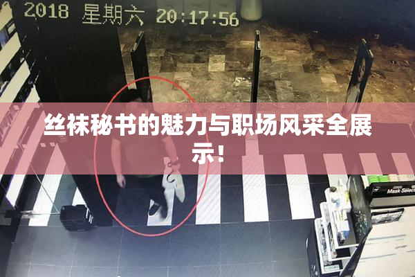 丝袜秘书的魅力与职场风采全展示！