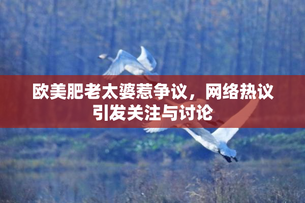 欧美肥老太婆惹争议，网络热议引发关注与讨论
