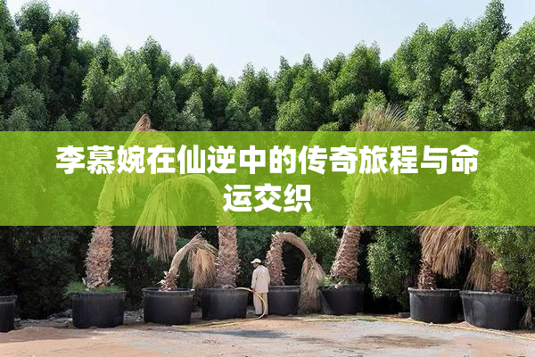 李慕婉在仙逆中的传奇旅程与命运交织