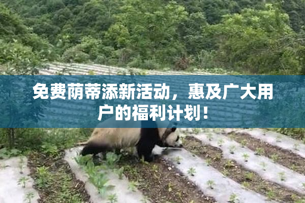 免费荫蒂添新活动，惠及广大用户的福利计划！