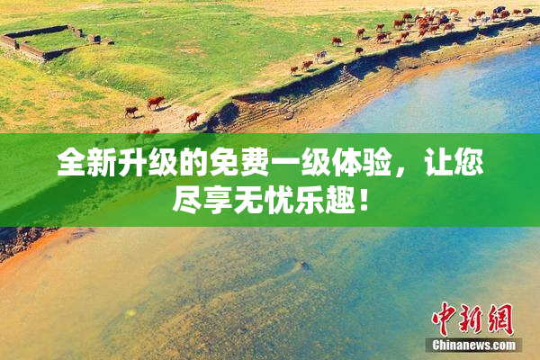 全新升级的免费一级体验，让您尽享无忧乐趣！