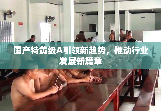 国产特黄级A引领新趋势，推动行业发展新篇章