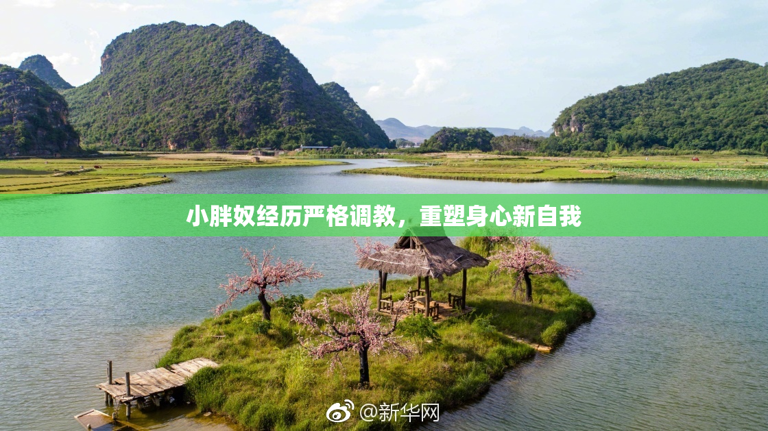 小胖奴经历严格调教，重塑身心新自我