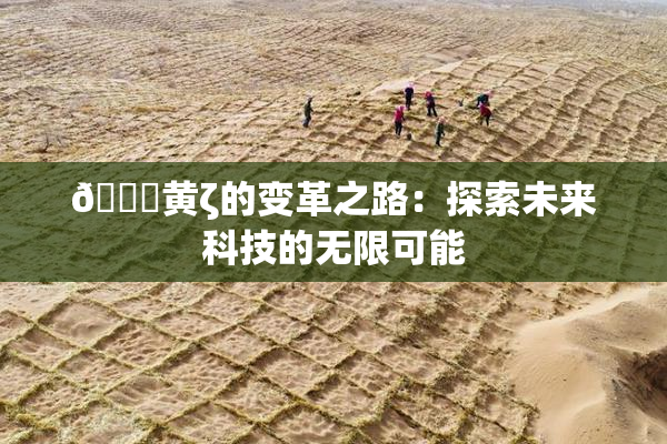 🔞黄ζ的变革之路：探索未来科技的无限可能