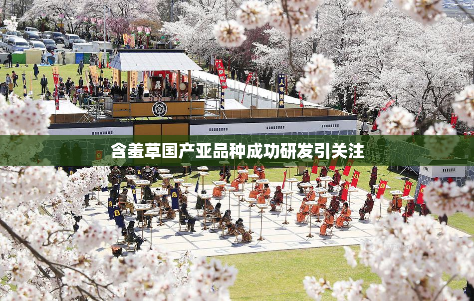 含羞草国产亚品种成功研发引关注