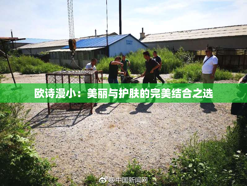 欧诗漫小：美丽与护肤的完美结合之选