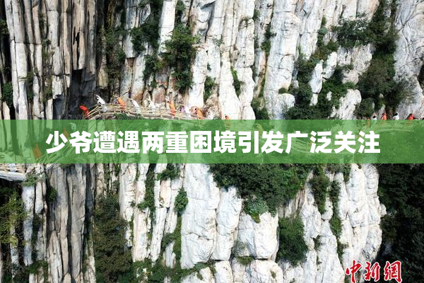 少爷遭遇两重困境引发广泛关注