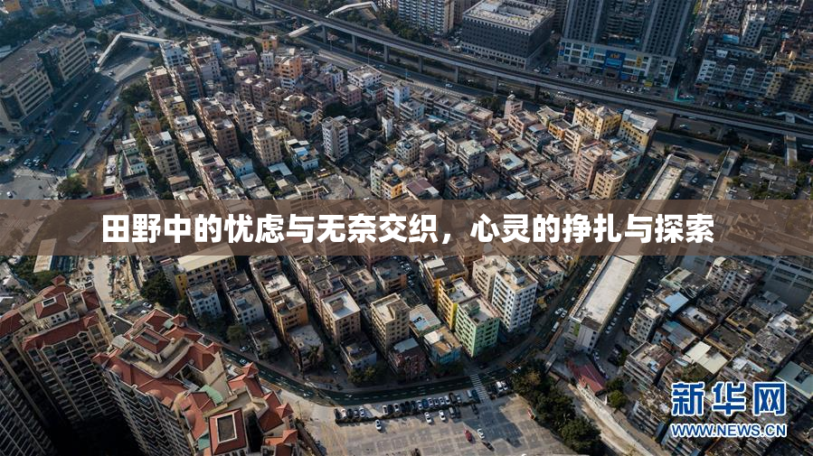 田野中的忧虑与无奈交织，心灵的挣扎与探索