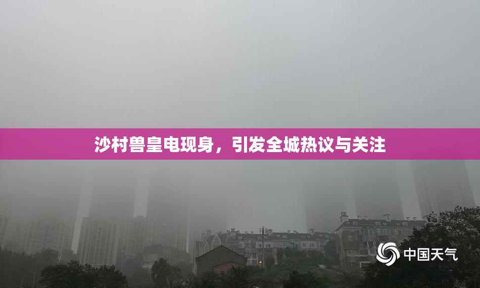 沙村兽皇电现身，引发全城热议与关注