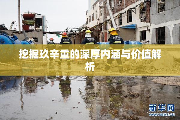 挖掘玖辛重的深厚内涵与价值解析