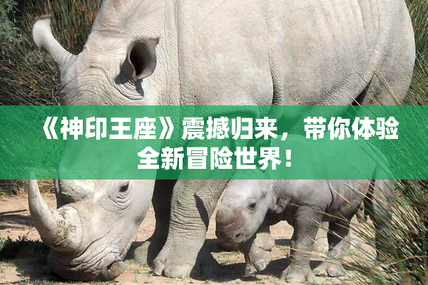 《神印王座》震撼归来，带你体验全新冒险世界！