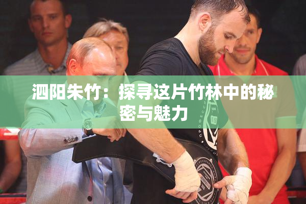 泗阳朱竹：探寻这片竹林中的秘密与魅力